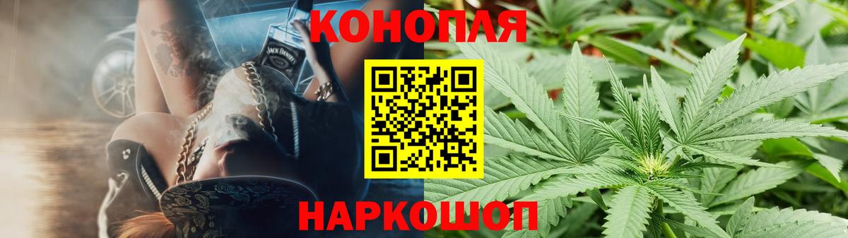 Каннабис тримм  Вход с VPN  Конопля планчик  Александров  Каннабис планчик  Шишки марихуана сатива 